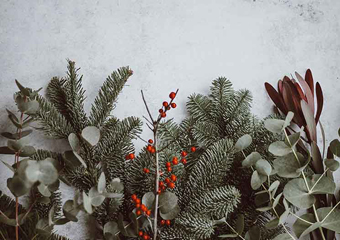 2018, et begivenhedsrigt år!